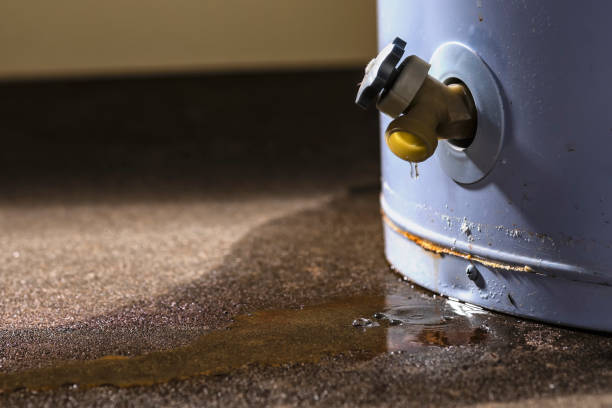 Best Water damage restoration near me  in La Grange Park, IL