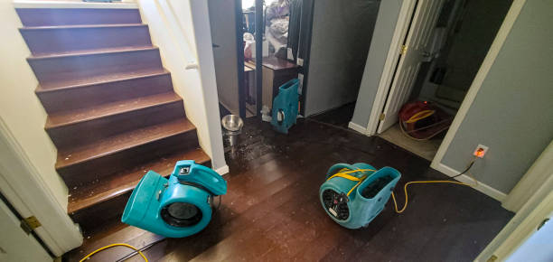 Best Residential water damage restoration  in La Grange Park, IL