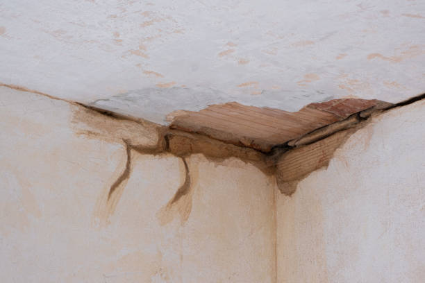 Best Water damage cleanup near me  in La Grange Park, IL