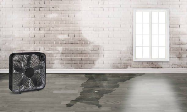 Best Commercial water damage restoration  in La Grange Park, IL