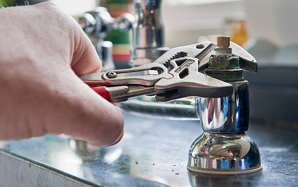 Best Flood damage cleanup  in La Grange Park, IL
