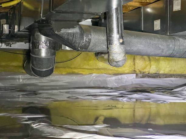 Sewage cleanup and water damage restoration in IL