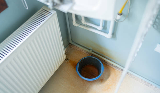 Best Water damage repair service  in La Grange Park, IL