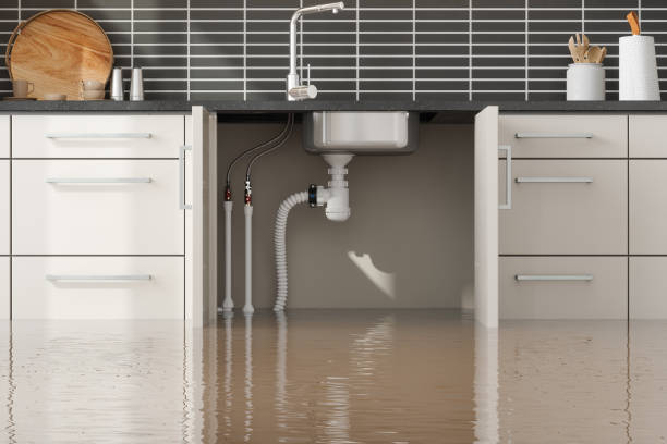 Best Basement water damage restoration  in La Grange Park, IL