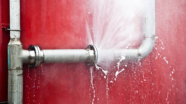 Best Water damage repair service  in La Grange Park, IL